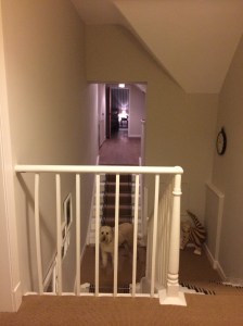 The view to the back of the house