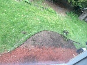 The patio shape is finalised and the lack of soil underneath explains why I wasn't doing well growing anything there